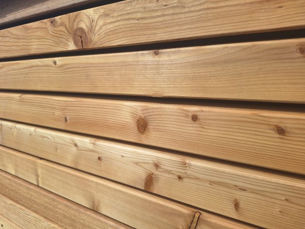 Yukon - nordamerikanische Lärche Rhombus