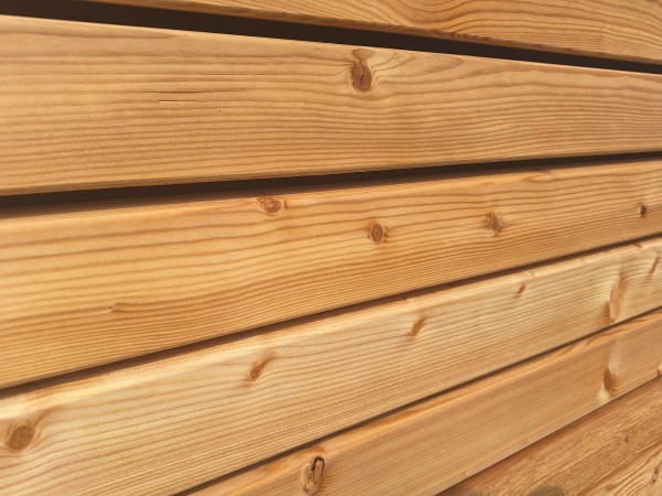 Yukon - nordamerikanische Lärche Rhombus